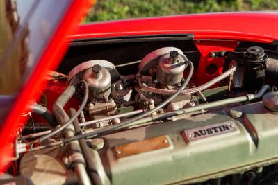 1962 Austin - Healey 3000