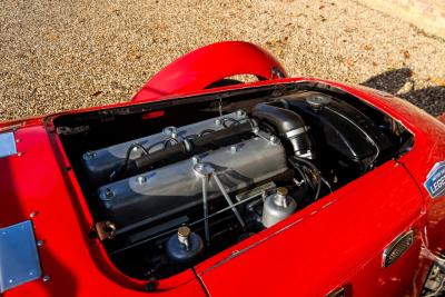 1950 Healey Silverstone &ldquo;The D-type from Kenya&rdquo;
