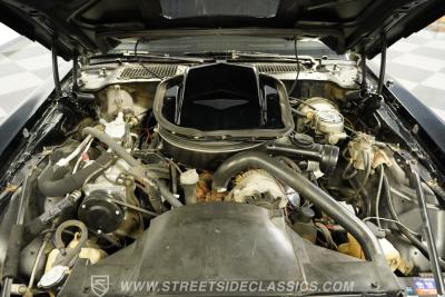 1979 Pontiac Firebird Trans Am Y84 Special Edition