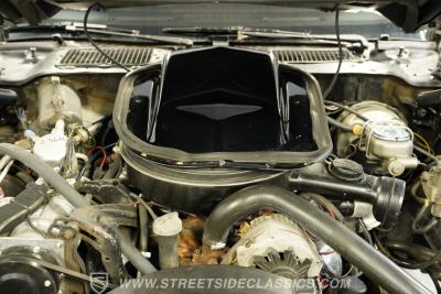 1979 Pontiac Firebird Trans Am Y84 Special Edition