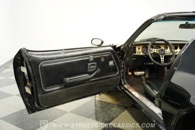 1979 Pontiac Firebird Trans Am Y84 Special Edition