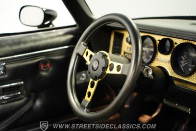 1979 Pontiac Firebird Trans Am Y84 Special Edition