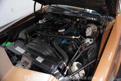 1979 Chevrolet Camaro Berlinetta