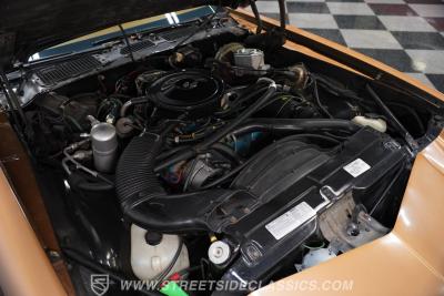 1979 Chevrolet Camaro Berlinetta