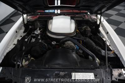 1979 Pontiac Firebird Trans Am