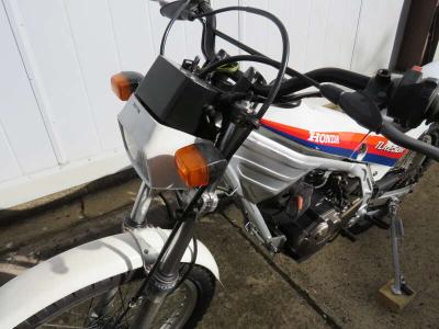 1986 Honda TLR250
