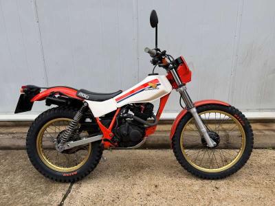 1983 Honda TLR200