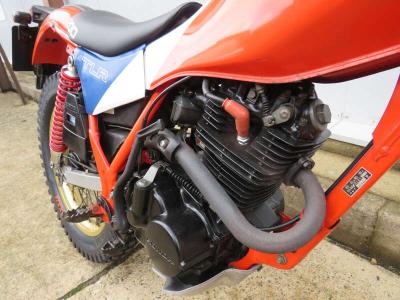 1983 Honda TLR200