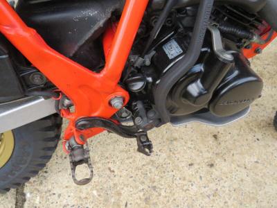 1983 Honda TLR200
