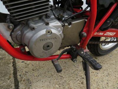 1986 Honda FTR250