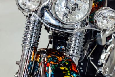 2015 Harley Davidson Softail
