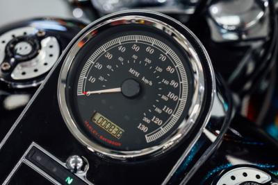 2015 Harley Davidson Softail