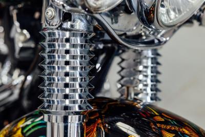 2015 Harley Davidson Softail