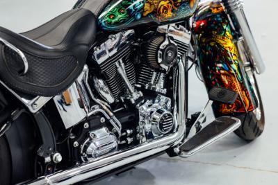 2015 Harley Davidson Softail