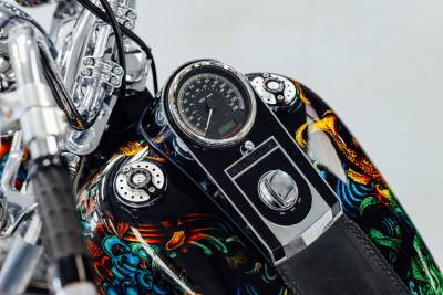 2015 Harley Davidson Softail