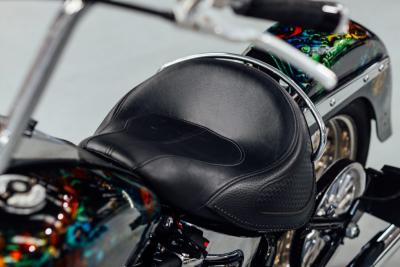2015 Harley Davidson Softail