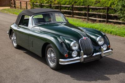 1960 Jaguar Unknown