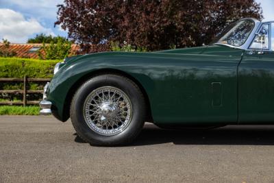 1960 Jaguar Unknown