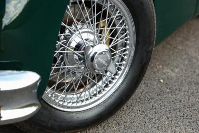 1960 Jaguar Unknown