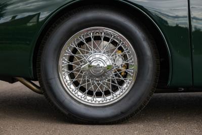 1960 Jaguar Unknown