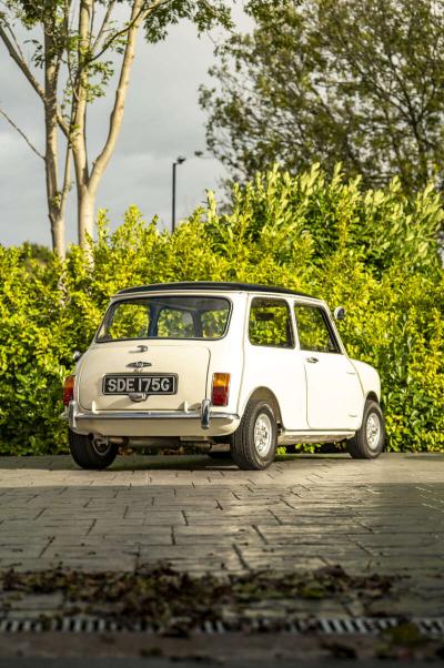 1969 Morris MINI COOPER MK II
