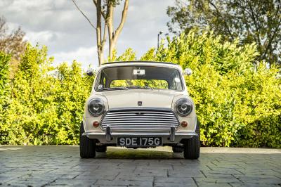 1969 Morris MINI COOPER MK II