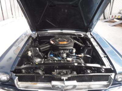 1965 Ford Mustang &#039;&#039;65 Coupe nr. 6035
