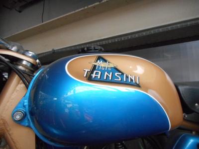 1955 Moto Tansini Grillo Export 4V