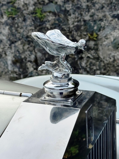 1954 Rolls-Royce Silver Dawn Automatic Saloon SPG11